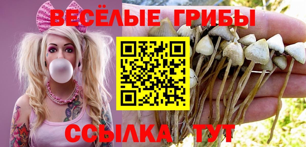Галлюциногенные грибы прущие грибы  Вход с VPN  Псилоцибиновые грибы Psilocybe  даркнет сайт  Санкт-Петербург 